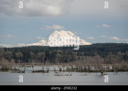 Blick auf Mount Rainier vom Nisqually National Wildlife Refuge, Februar 2021 Stockfoto
