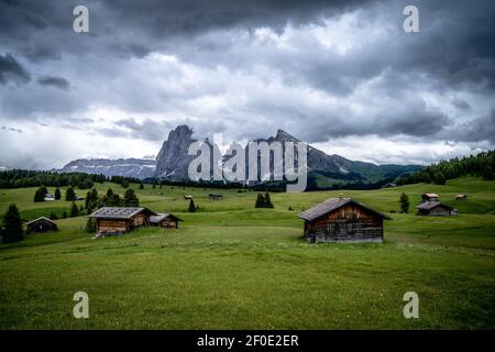 Die grünen Wiesen der Seiser Alm in den iltalischen alpen. Stockfoto