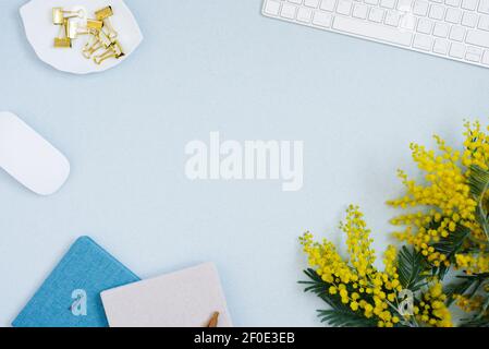 Auf einem blauen flachen Hintergrund mit einer gelben Mimosenblume, Maus, Tastatur, Notizblock und Büroklammern, ein weiblicher floraler Desktop. Das Konzept eines st Stockfoto