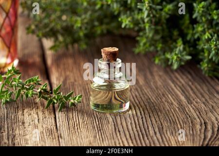 Ätherisches Thymian-Öl in einer transparenten Flasche Stockfoto
