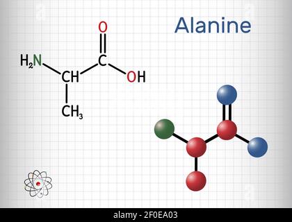 Alanin, L-Alanin, Ala, EIN Molekül. Es ist nicht essentielle Aminosäure. Strukturelle chemische Formel und Molekülmodell. Blatt Papier in einem Käfig. Vektor Stock Vektor