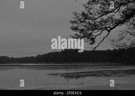 Eine winterliche Wnadation am Bötzsee bei Eggersdorf. Wohl grau in grau sehr stimmungsvoll. - EINE Winterwanderung auf dem Bötzsee bei Eggersdorf. Althoug Stockfoto