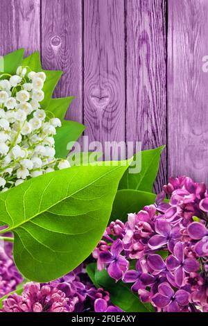 Fliederblüten und Maiglöckchen Stockfoto