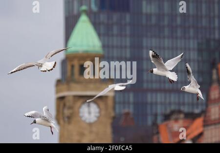 Hamburg, Deutschland. März 2021, 07th. Möwen fliegen bei bewölktem Wetter über die Landungsbrücken. Auch in den kommenden Tagen sollte es in der Hansestadt bewölkt und kühl bleiben. Quelle: Ulrich Perrey/dpa/Alamy Live News Stockfoto