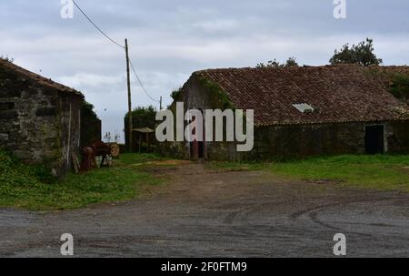 Antiquierte landwirtschaftliche Nebengebäude und Lagerbereiche auf Sao Miguel. Stockfoto