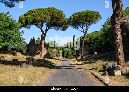 Rom. Italien. Via Appia Antica (Via Appia), mediterrane Pinien und Grabdenkmäler entlang der antiken römischen Straße. Stockfoto