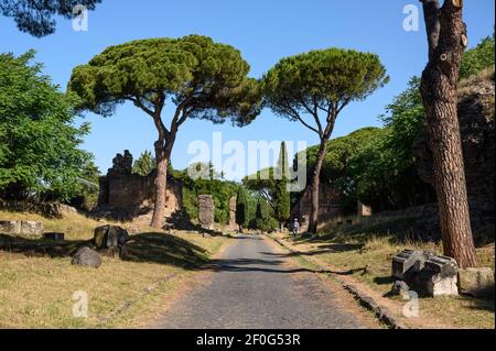 Rom. Italien. Via Appia Antica (Via Appia), mediterrane Pinien und Grabdenkmäler entlang der antiken römischen Straße. Stockfoto