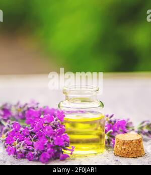 Ätherisches Lavendelöl in einer kleinen Flasche. Selektiver Fokus. Stockfoto