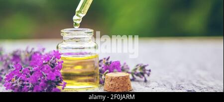 Ätherisches Lavendelöl in einer kleinen Flasche. Selektiver Fokus. Stockfoto