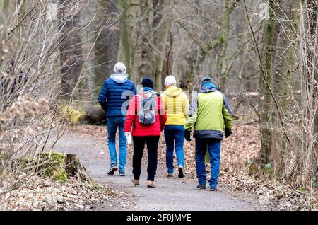 Braunschweig, Deutschland. März 2021, 07th. Spaziergänger mit bunten Jacken wandern durch einen Wald im Naturschutzgebiet (NSG) Riddagshausen bei bewölktem Wetter. Quelle: Hauke-Christian Dittrich/dpa/Alamy Live News Stockfoto