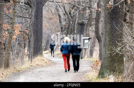 Braunschweig, Deutschland. März 2021, 07th. Spaziergänger wandern bei bewölktem Wetter durch eine Allee im Naturschutzgebiet Riddagshausen (NSG). Quelle: Hauke-Christian Dittrich/dpa/Alamy Live News Stockfoto