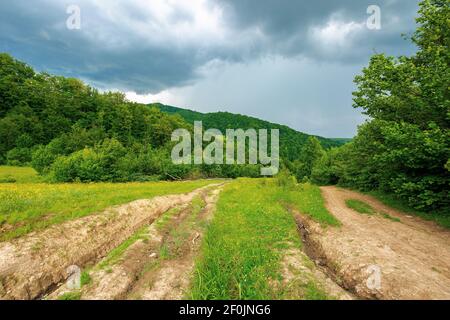 Schotterweg durch bewaldete Landschaft. Schöne Sommer ländliche Landschaft in den Bergen. Abenteuer in der Natur Landschaft vor dem Sturm Stockfoto