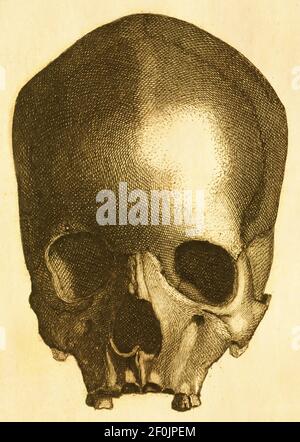 Gravur eines prähistorischen menschlichen Schädels. Veröffentlicht in Systematischer Bilder-Atlas zum Conversations-Lexikon, Ikonographische Enzyklopädie der Wissensc Stockfoto