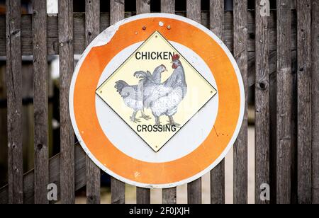 Braunschweig, Deutschland. März 2021, 07th. Ein Schild mit der Aufschrift "Chicken Crossing" hängt am Tor eines Bauernhofs im Stadtteil Riddagshausen. Quelle: Hauke-Christian Dittrich/dpa/Alamy Live News Stockfoto