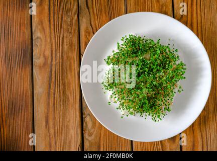 Rukula Sprossen in einer Keramikplatte auf der alten rustikalen Tischansicht. Micro Greens voller Vitamine und Frische. Super Essen Konzept. Speicherplatz kopieren. Stockfoto