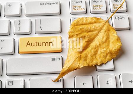 Gelbe Taste mit Herbstwort und gefallenes Blatt auf einer weißen pc-Tastatur. Herbstverkauf, Urlaub, Schule und Arbeitszeitkonzepte. Nachricht auf ENTER-Taste. Stockfoto