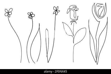 Satz von Vektor einzelne eine Linie gezeichnet Satz von Blumen. Handzeichnung Umriss Illustration isoliert auf weißem Hintergrund. Botanische Symbole Stock Vektor