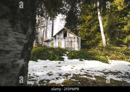 Ferienhaus in der Mitte des Waldberges, umgeben von Pinien und wilden Himbeeren Stockfoto