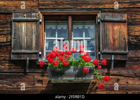 Fenster mit Geranien auf einem alten Bauernhaus im historischen Bergdorf Gerstruben, Dietersbachtal, bei Oberstdorf, Allgäuer Alpen Stockfoto