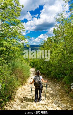 Italien Bologna Florenz zu Fuß, Wanderung von Dei Trekking auf dem toskanisch-emilianischen Apennin Stockfoto