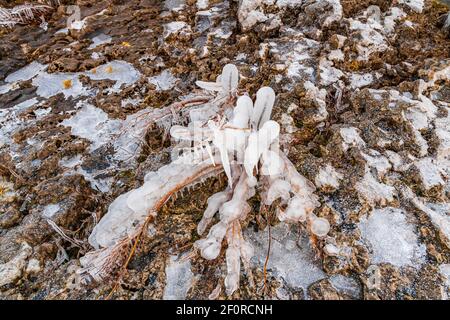 Fathom Five National Park Gray Sauble County Bruce Peninsula Ontario Kanada Stockfoto