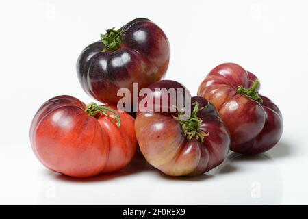 Tomate Mar Azul, blaue Fleischtomate aus Spanien, Deutschland Stockfoto