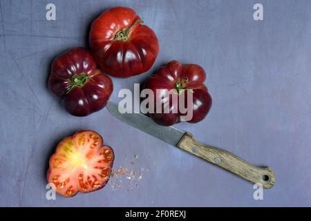 Tomate Mar Azul, blaue Fleischtomate aus Spanien, Deutschland Stockfoto