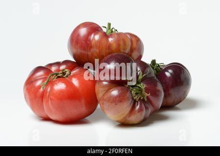Tomate Mar Azul, blaue Fleischtomate aus Spanien, Deutschland Stockfoto