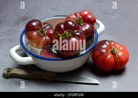 Tomate Mar Azul in der Haut, Blue Flesh Tomate aus Spanien, Deutschland Stockfoto