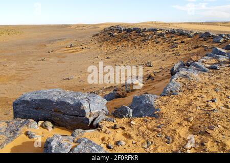 Bush altes Fossil in der Wüste Stockfoto