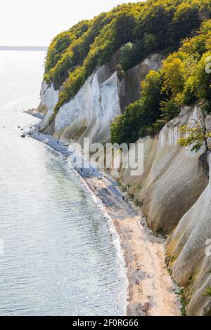 Touristen am Strand unter den Kreidefelsen, Nationalpark Jasmund, Insel Rügen, Ostsee, Mecklenburg-Vorpommern, Ostdeutschland Stockfoto
