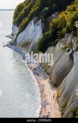 Touristen am Strand unter den Kreidefelsen, Nationalpark Jasmund, Insel Rügen, Ostsee, Mecklenburg-Vorpommern, Ostdeutschland Stockfoto