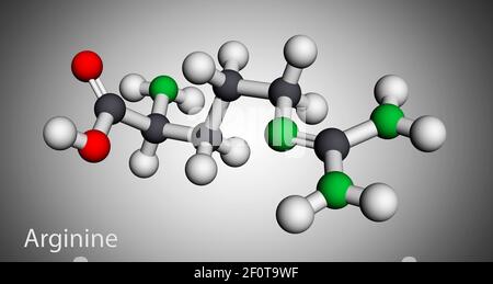 Arginin, L-Arginin, Arg, R essentielle Aminosäuremolekül, wird es in der Biosynthese von Proteinen verwendet. Molekularmodell. 3D Rendern. 3D Abbildung Stockfoto