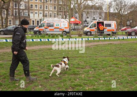 Ein Suchteam setzt die Suche nach der vermissten Frau Sarah Everard auf Clapham Common am 7th. März 2021 fort, die beim Heimgehen verschwand Stockfoto