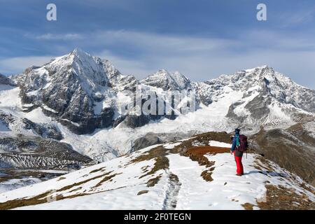 Ortler Gruppe mit Königspitze, Zebru und Ortler, Alpen, Sulden, Vinschgau, Südtirol, Italien Stockfoto