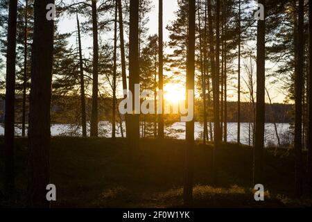 Sonnenuntergang am Eissee in Katrineholm Schweden. Schöne skandinavische Natur und Landschaft. Ruhiges, friedliches Foto. Stockfoto