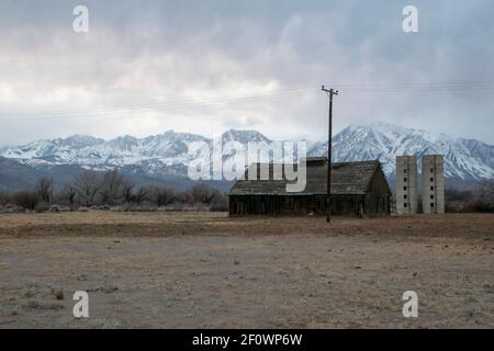 Eine alte Scheune befindet sich auf einem Grundstück in der Nähe von Bishop, CA, USA mit der Eastern Sierra im Hintergrund. Stockfoto