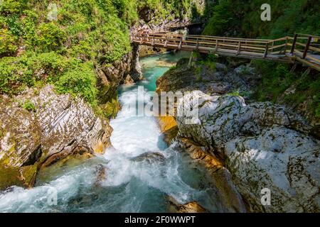 Blejski Schlucht - Blejski vintgar während schönen sonnigen Tag, Slowenien Stockfoto