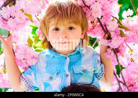 Lächelndes Kind in Blumen sakura. Glücklicher Junge im Frühling Park. Stockfoto