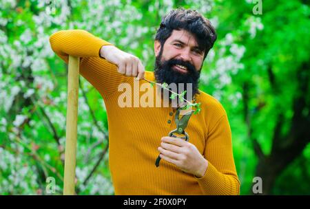 Frühjahrsfarmen. Mann mit Gartenschere. Arbeitet mit Gartengeräten. Stockfoto