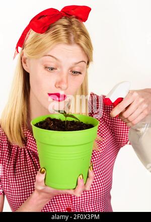 Frau sprüht Hauspflanze. Schönes Mädchen sprüht Mandarine Baum in Blumentöpfen. Weibchen pflegt Zitrusbaum. Stockfoto