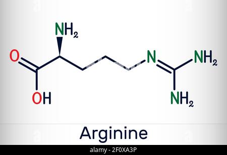 Arginin, Arg, L-Arginin, R essentielle Aminosäure Molekül, wird es in der Biosynthese von Proteinen verwendet. Chemische Formel des Skeletts. Vektorgrafik Stock Vektor