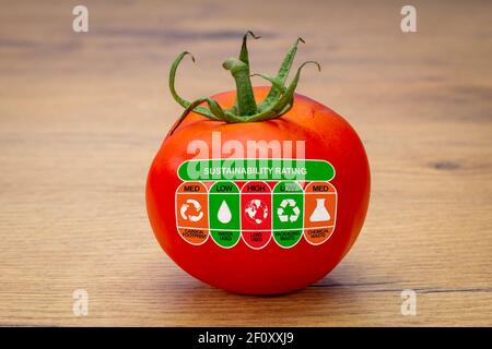 Nachhaltigkeits-Rating-Label auf Tomaten mit hohen, med und niedrigen Bewertungen für Lebensmittel-CO2-Bilanz, Wasserverbrauch, Landnutzung, Verpackungsabfälle und chemische Wast Stockfoto