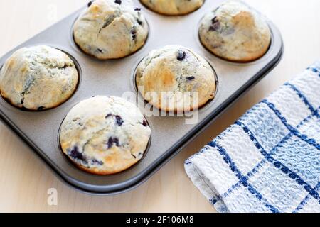 Hausgemachte, frisch gebackene Muffins mit Beeren in der Backform Stockfoto