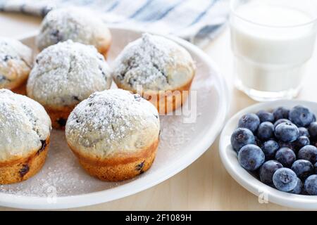 Hausgemachte, frisch gebackene Muffins mit Heidelbeeren auf dem Teller und einem Glas Milch. Stockfoto