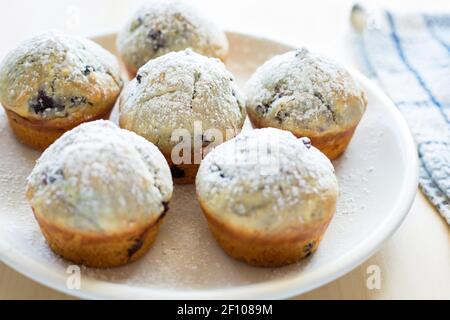 Hausgemachte, frisch gebackene Muffins mit Beeren auf dem Teller Stockfoto