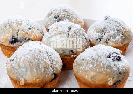 Hausgemachte, frisch gebackene Muffins mit Beeren auf dem Teller. Stockfoto