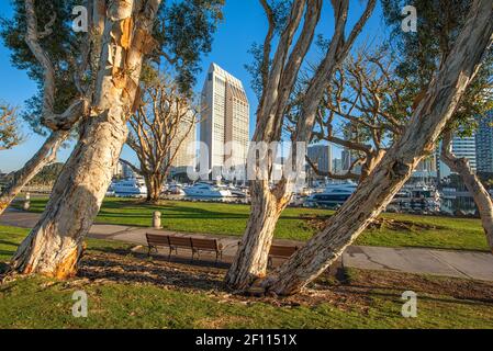 Wintermorgen im Embarcadero Marina Park. San Diego, Kalifornien, USA. Stockfoto