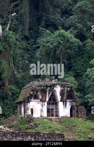 Tempel des Foliated Cross in Palenque. Chiapas, Mexiko Stockfoto