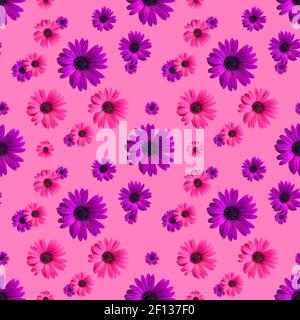 Schöne violette und rosa Blütenköpfe nahtlose Muster auf dem rosa Hintergrund. Draufsicht auf Blumen Stockfoto